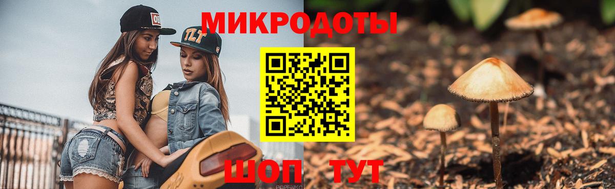 Усть-Илимск  Псилоцибиновые грибы мицелий  Вход с VPN 